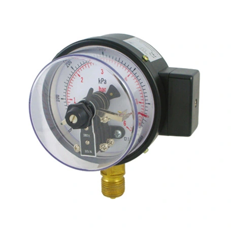 Black Steel Case Electric Contact Pressure Cange